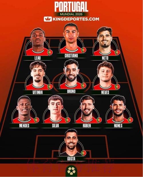 2026世界杯阵容分析高清